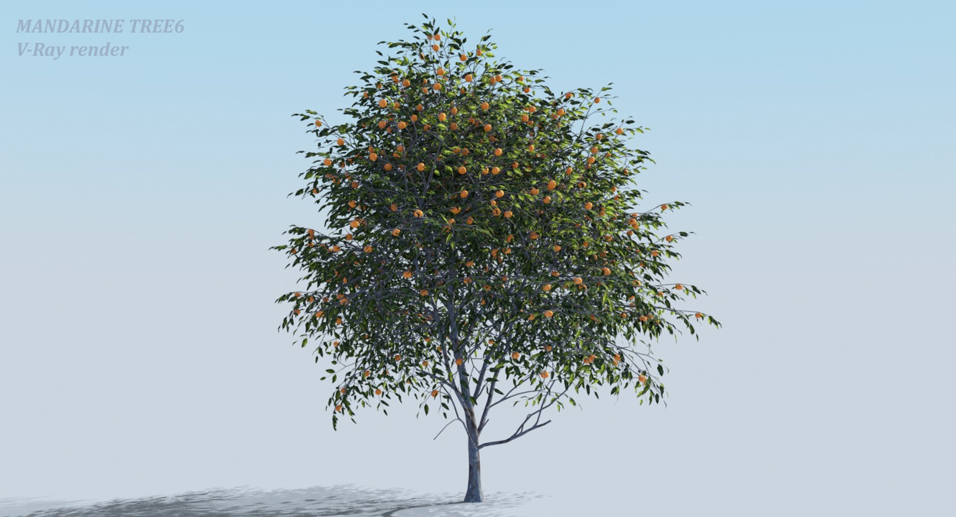 realistic fruit tree woods model https://p.turbosquid.com/ts-thumb/hd/Q1rzGF/vDMi6ULG/sss3d_tree_view06/jpg/1546687968/1920x1080/fit_q87/7d53fcc89d4f037a6f279ecd65898a4d1b4591fb/sss3d_tree_view06.jpg