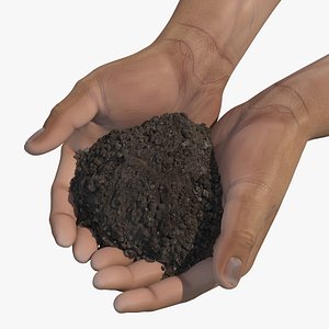Hands Holding Soil