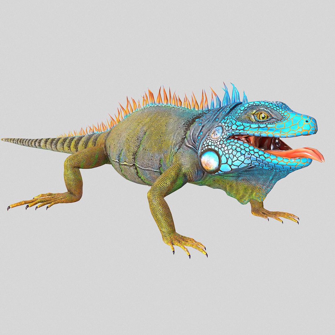 3D american iguana https://p.turbosquid.com/ts-thumb/hd/djl9XH/k9akUZ9R/iguana1/png/1569518482/1920x1080/fit_q87/2f5592fc77efce6983967eab541037c3fcd38283/iguana1.jpg
