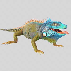 3D american iguana