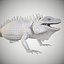 3D american iguana