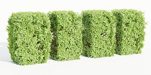 3D Laurel Hedging Bushes vol 111-Blender model