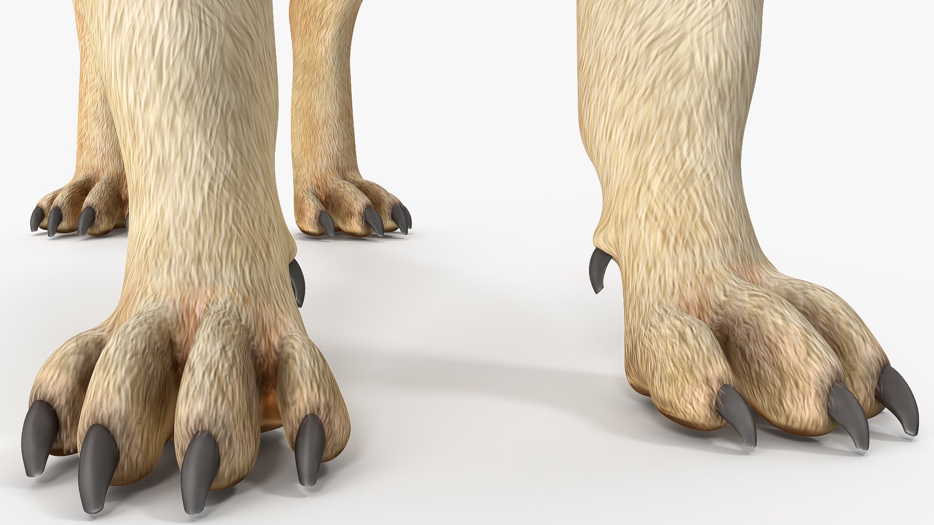 pug dog 3D model https://p.turbosquid.com/ts-thumb/hd/vcCUmb/WJ/pugdog3dmodel015/jpg/1611785267/1920x1080/fit_q87/f7febbf14cbf21d6b85ea5522ee22058cb07c072/pugdog3dmodel015.jpg