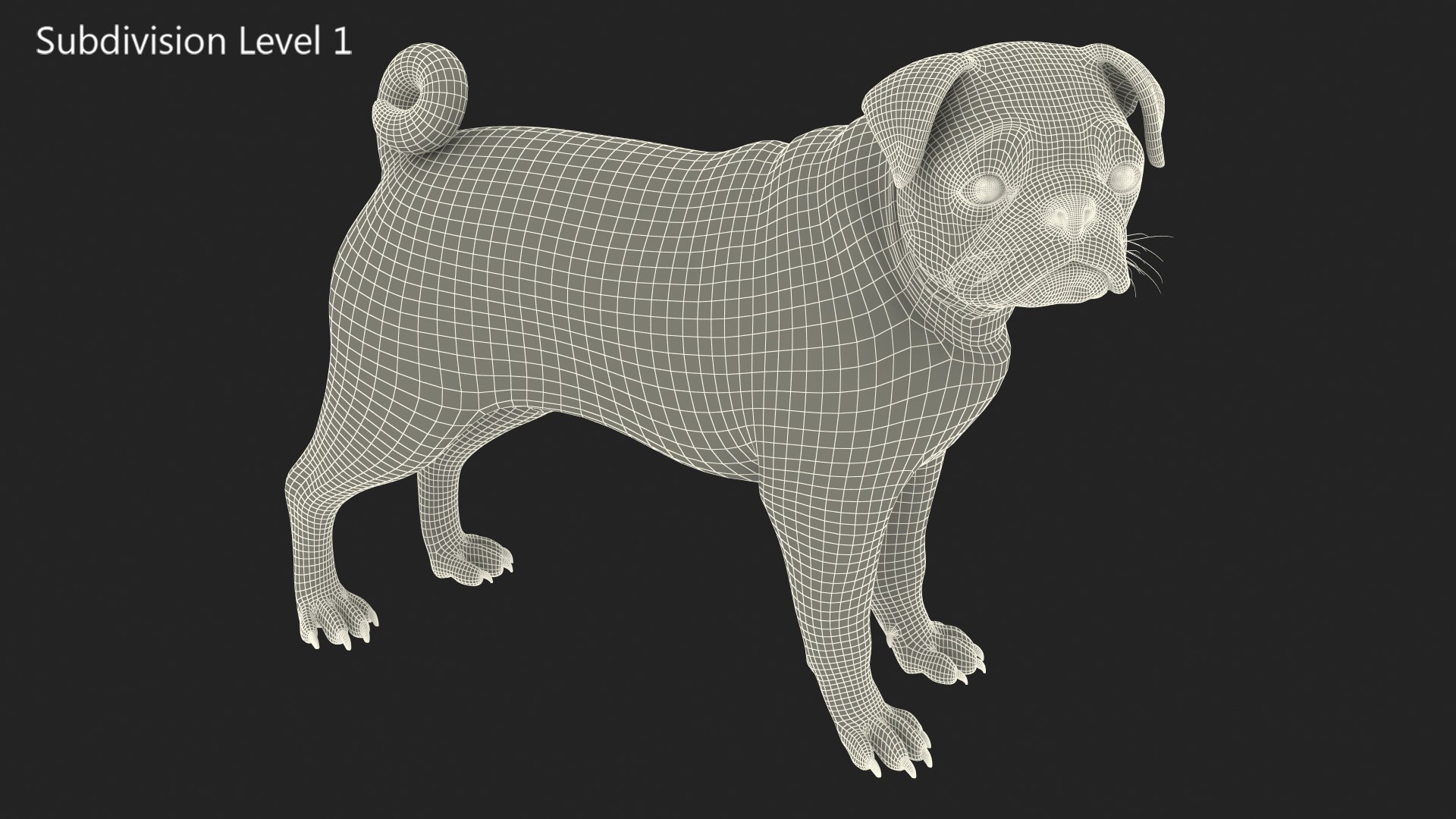 pug dog 3D model https://p.turbosquid.com/ts-thumb/hd/vcCUmb/nM/pugdog3dmodel021/jpg/1611785325/1920x1080/fit_q87/83407d389d62dca429361186f1cba74494108844/pugdog3dmodel021.jpg