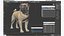 pug dog 3D model