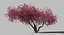 3D plum tree model