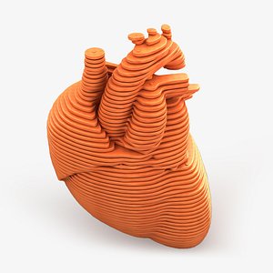 3D Parametric Human Heart Models