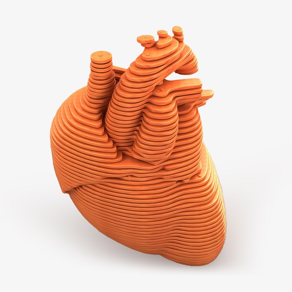 modèle 3D de Parametric Human Heart Models TurboSquid 2086807