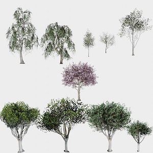 10 in 1 Birch and Ficus Trees Collection - Game Assets - Low Poly 3D