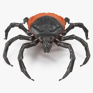 Tick Fur Rigged