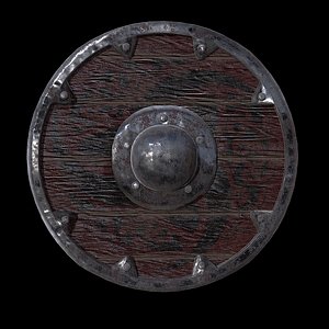 Viking Shield