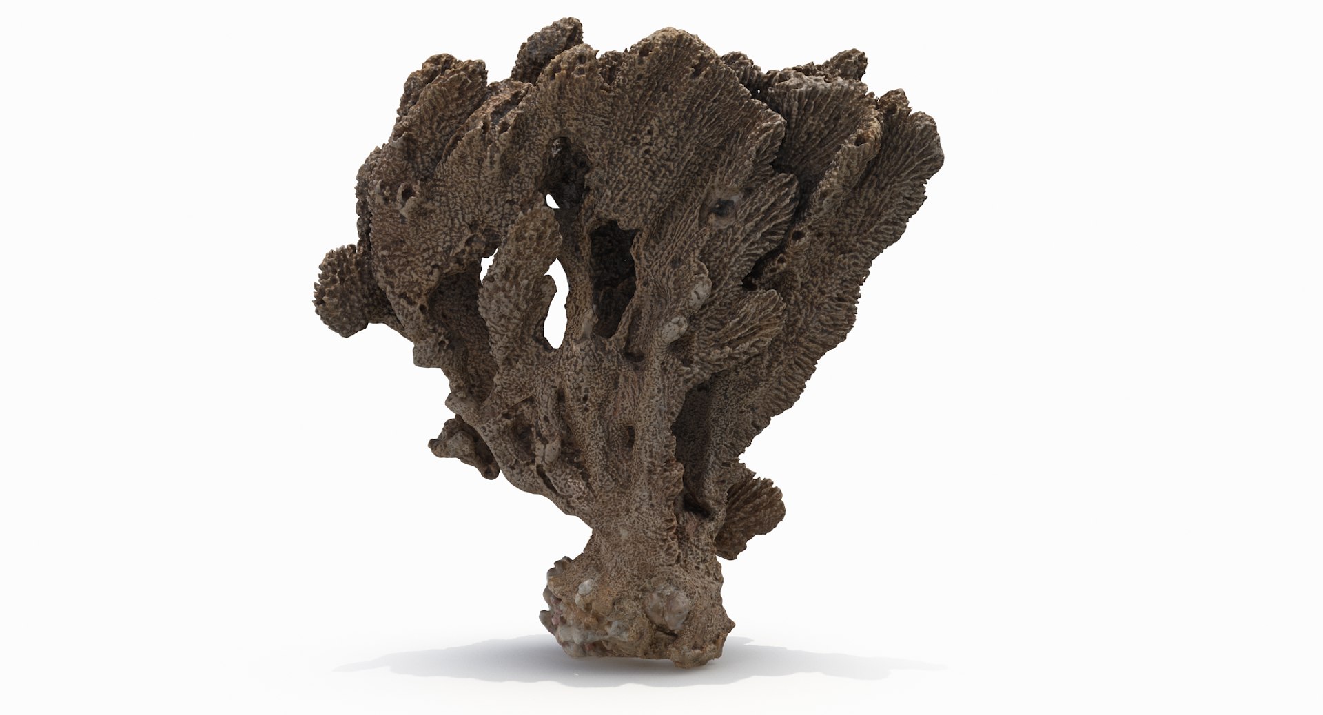 sponge pbr 3D https://p.turbosquid.com/ts-thumb/he/Gkaz6v/1Uf6d7PO/sponge02_r5/png/1560233080/1920x1080/fit_q87/9a04dcab7edb85b0c635fbb1f3cc61dfa7dd2d3d/sponge02_r5.jpg