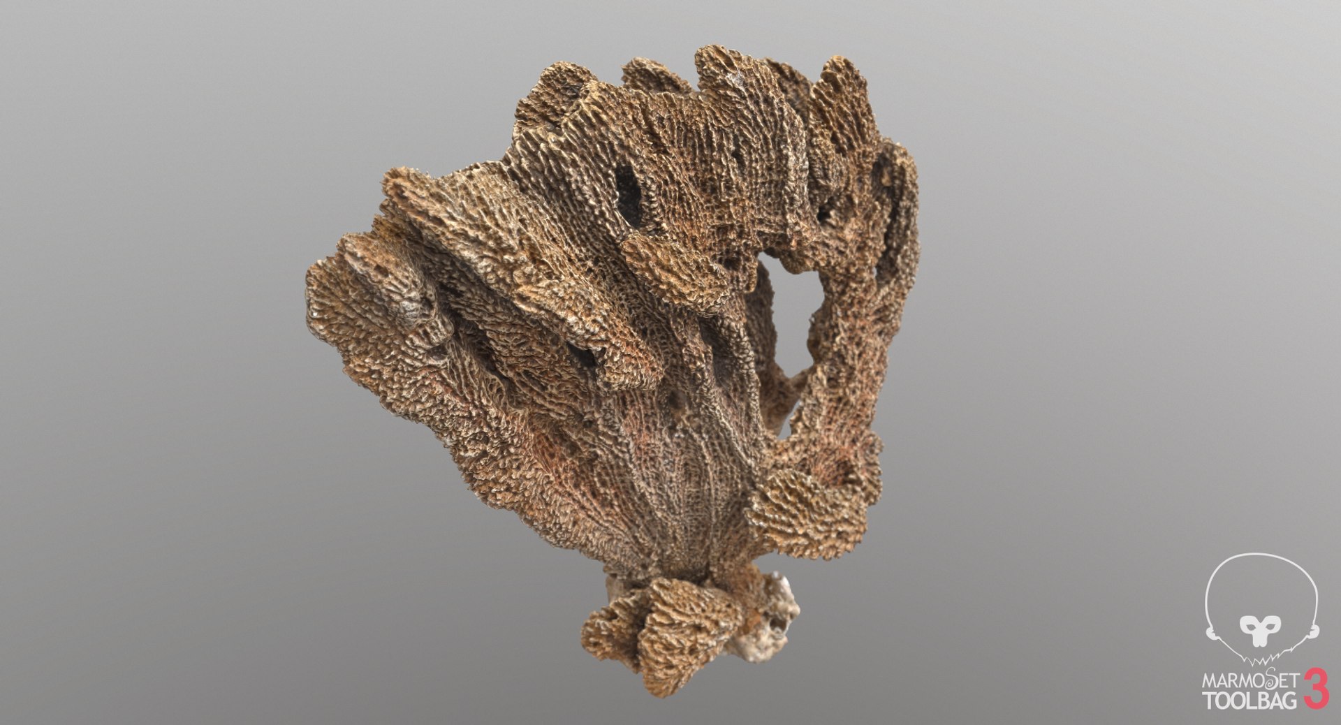 sponge pbr 3D https://p.turbosquid.com/ts-thumb/he/Gkaz6v/AiqbPouN/screenshot548/png/1560233042/1920x1080/fit_q87/df3294698c6db7ac06a8917812903293d87610f6/screenshot548.jpg