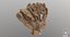 Tree Sponge 02