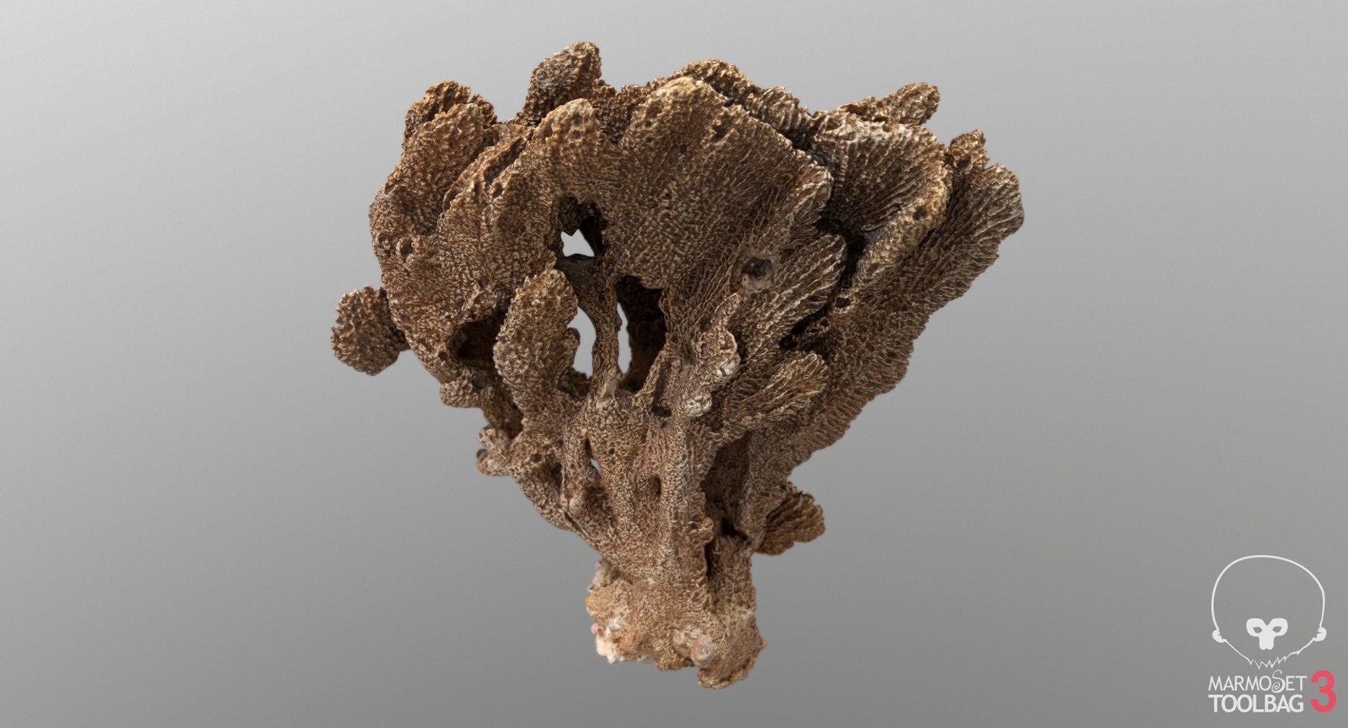 sponge pbr 3D https://p.turbosquid.com/ts-thumb/he/Gkaz6v/JhBbI2NL/screenshot550/png/1560233042/1920x1080/fit_q87/edc1a7b5f1a7aae28890463994f0efb27e2851af/screenshot550.jpg
