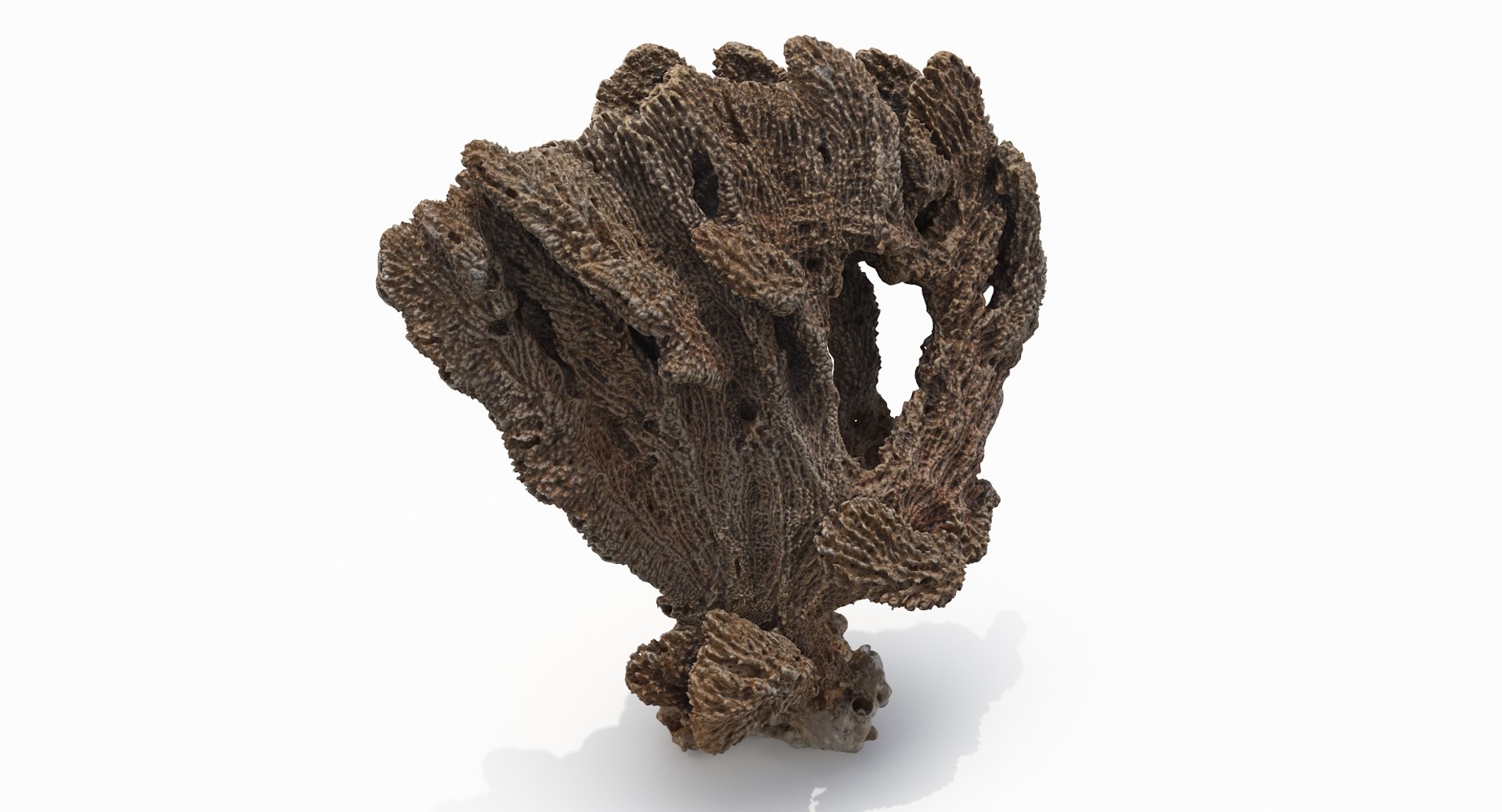 sponge pbr 3D https://p.turbosquid.com/ts-thumb/he/Gkaz6v/YJXtYQ0e/sponge02_r3/png/1560233054/1920x1080/fit_q87/58e1c96d7103bbe51fbe23d0d58c1f25860666bf/sponge02_r3.jpg