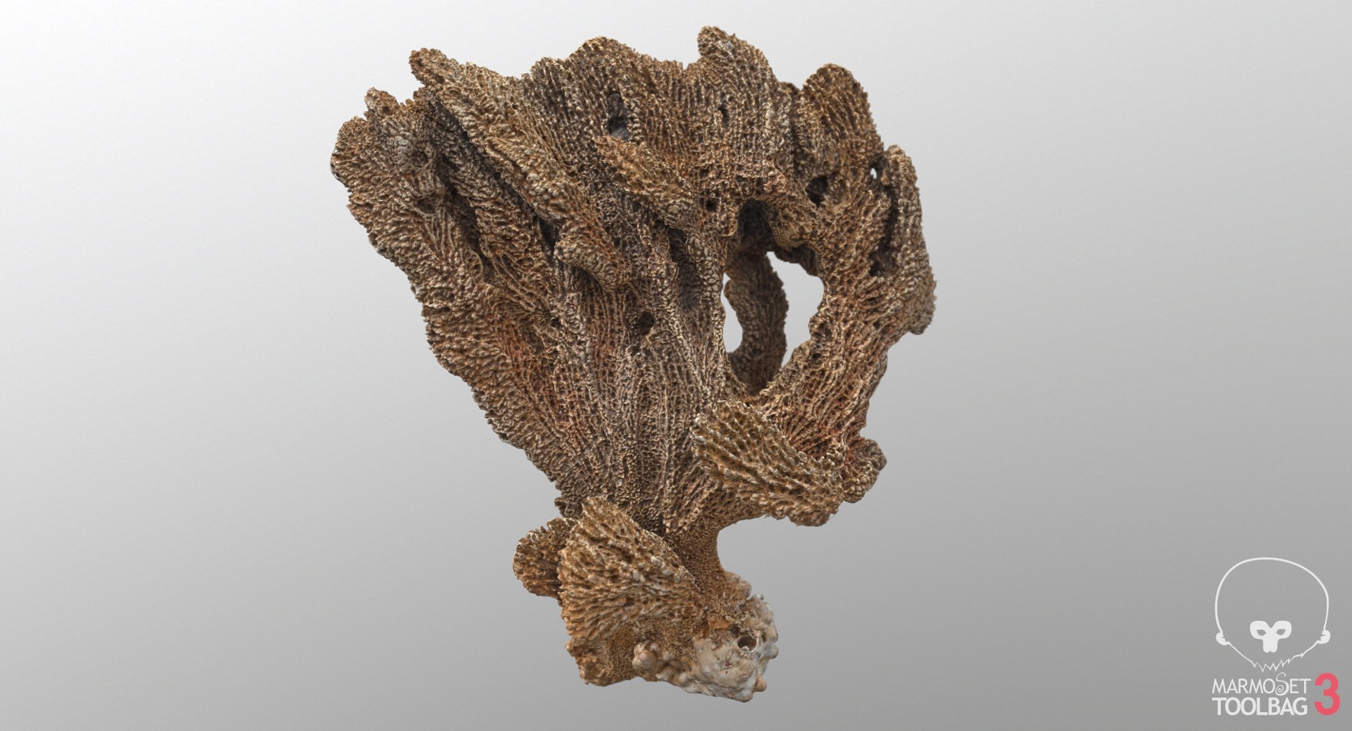 sponge pbr 3D https://p.turbosquid.com/ts-thumb/he/Gkaz6v/Yi3CW3fG/screenshot546/png/1560233042/1920x1080/fit_q87/8fbd6ab4a1fea1cba86f4f9d46399ab569728a7b/screenshot546.jpg