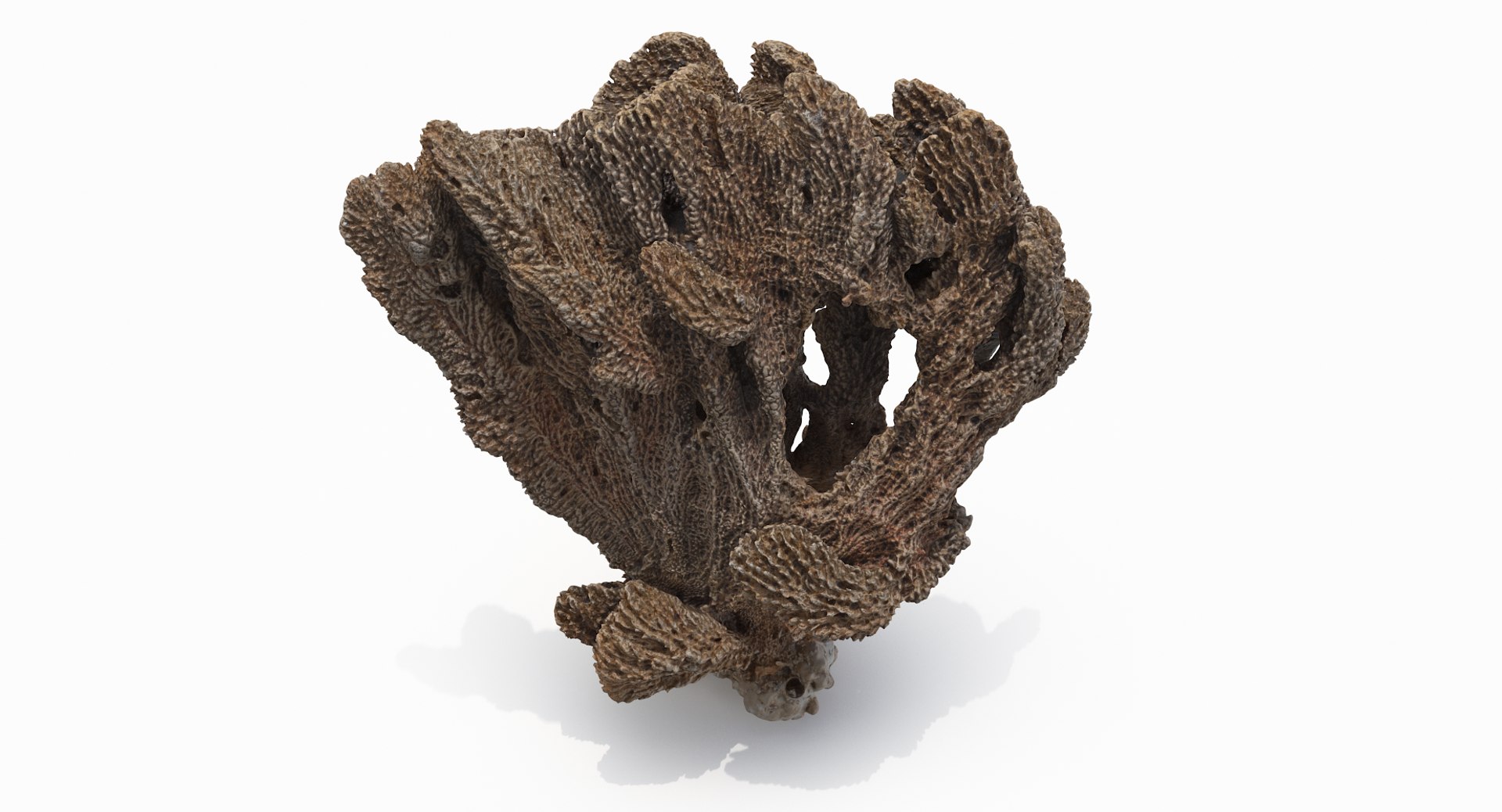 sponge pbr 3D https://p.turbosquid.com/ts-thumb/he/Gkaz6v/diGiGbPd/sponge02_r2/png/1560233054/1920x1080/fit_q87/1604dcb515c7935a12066eea96d9c8ace61a9da9/sponge02_r2.jpg
