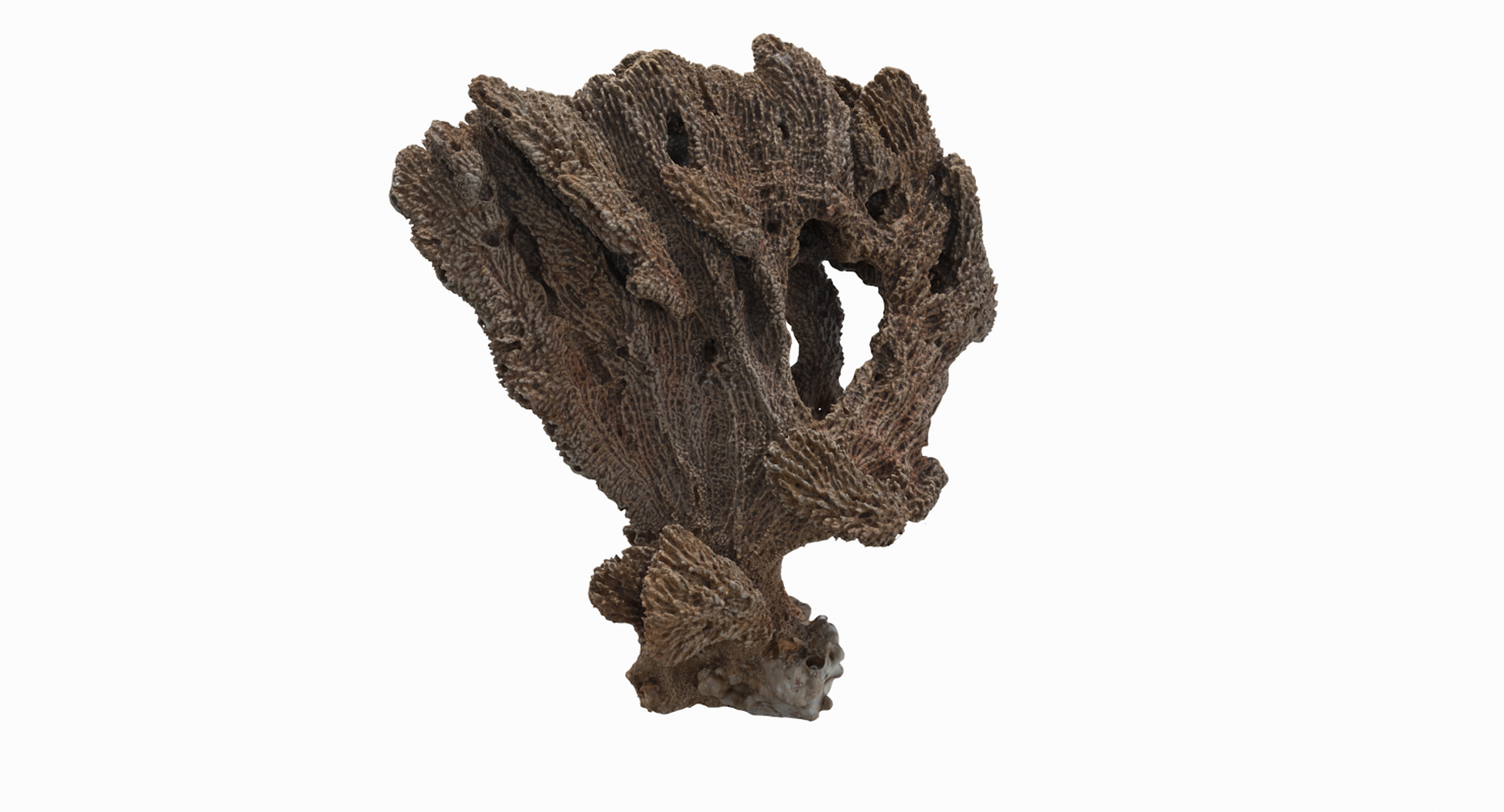 sponge pbr 3D https://p.turbosquid.com/ts-thumb/he/Gkaz6v/lfutNWY4/sponge2tt/png/1560233031/1920x1080/turn_fit_q99/2e4ad6602db2a512a25d2d52a7af8428167b5177/sponge2tt-1.jpg
