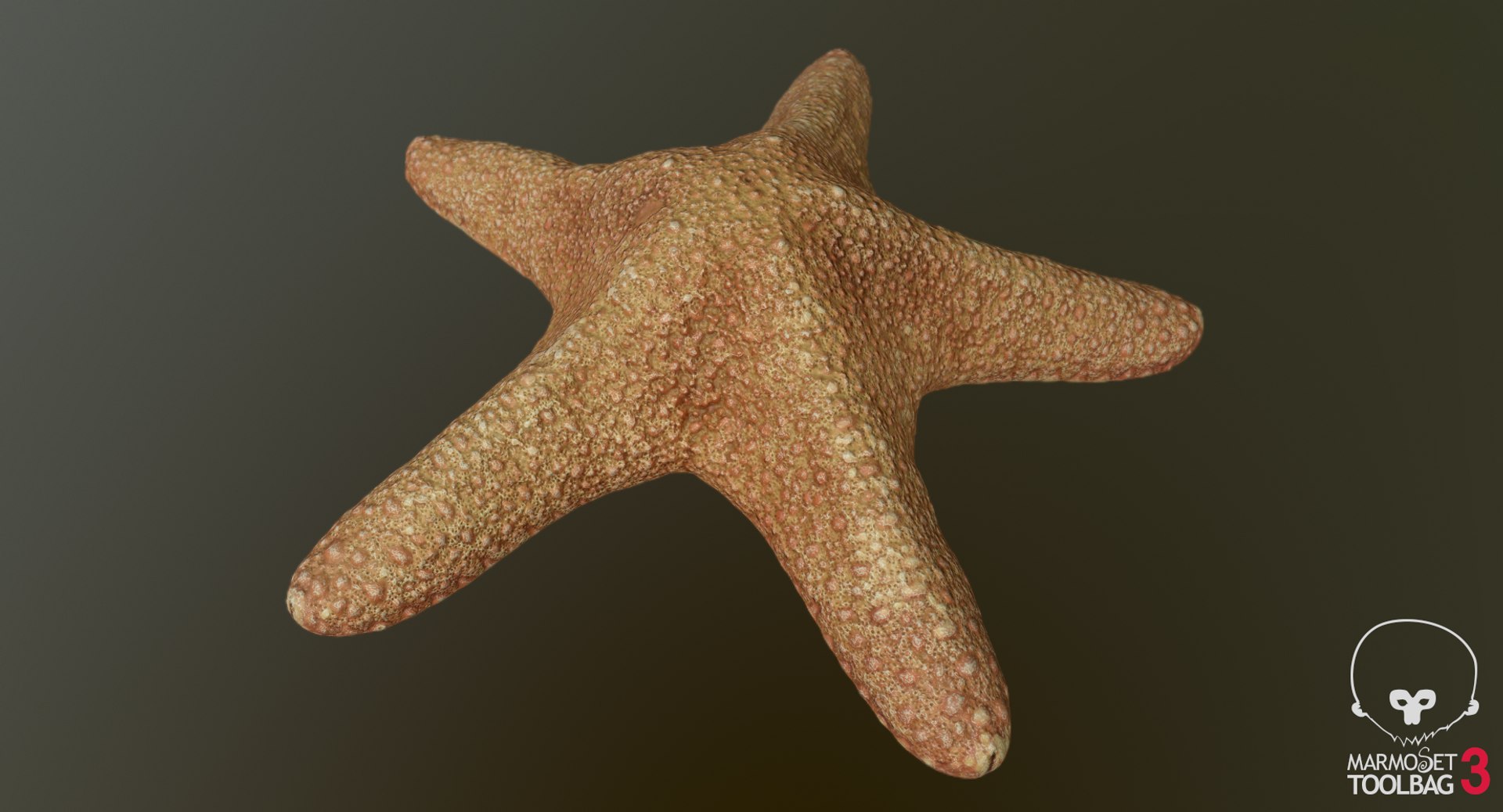 3D marine pencil urchin https://p.turbosquid.com/ts-thumb/he/IXIPnY/2SXUCtZc/screenshot502/png/1573320458/1920x1080/fit_q87/cac4191f02f3751928bfa3241d113f106c28f916/screenshot502.jpg