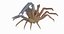 Marine Invertebrates