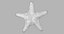 Marine Invertebrates