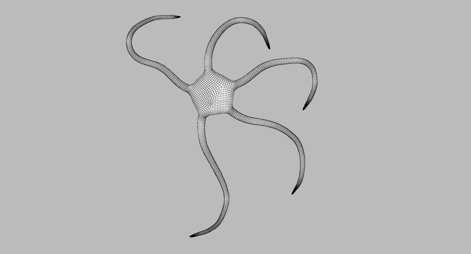 3D marine pencil urchin https://p.turbosquid.com/ts-thumb/he/IXIPnY/ANyQYAPK/brittlestar_r1w/png/1573320283/1920x1080/fit_q87/a11a8b756c0244126c9410c2d96fce1cad338d1e/brittlestar_r1w.jpg