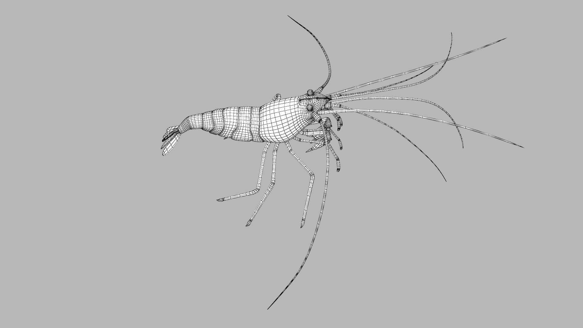 3D marine pencil urchin https://p.turbosquid.com/ts-thumb/he/IXIPnY/BccmGiKE/shrimp_r3w/png/1573320478/1920x1080/fit_q87/f43d65f8664f46bc151c455602a2fae7dcacce2d/shrimp_r3w.jpg