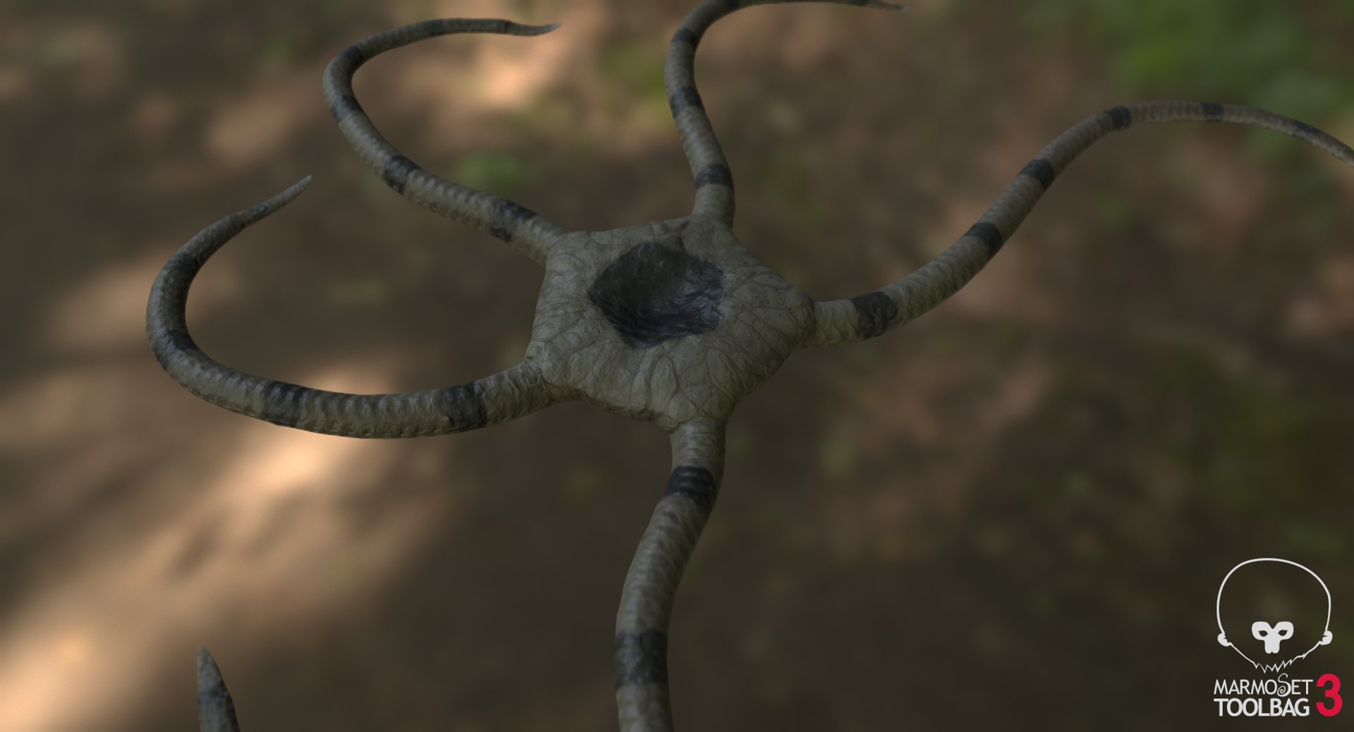 3D marine pencil urchin https://p.turbosquid.com/ts-thumb/he/IXIPnY/E7jsdx8Y/screenshot500/png/1573320393/1920x1080/fit_q87/78d94977f54d0cd195ed4a904c579456cdcadcb8/screenshot500.jpg