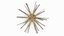 Marine Invertebrates