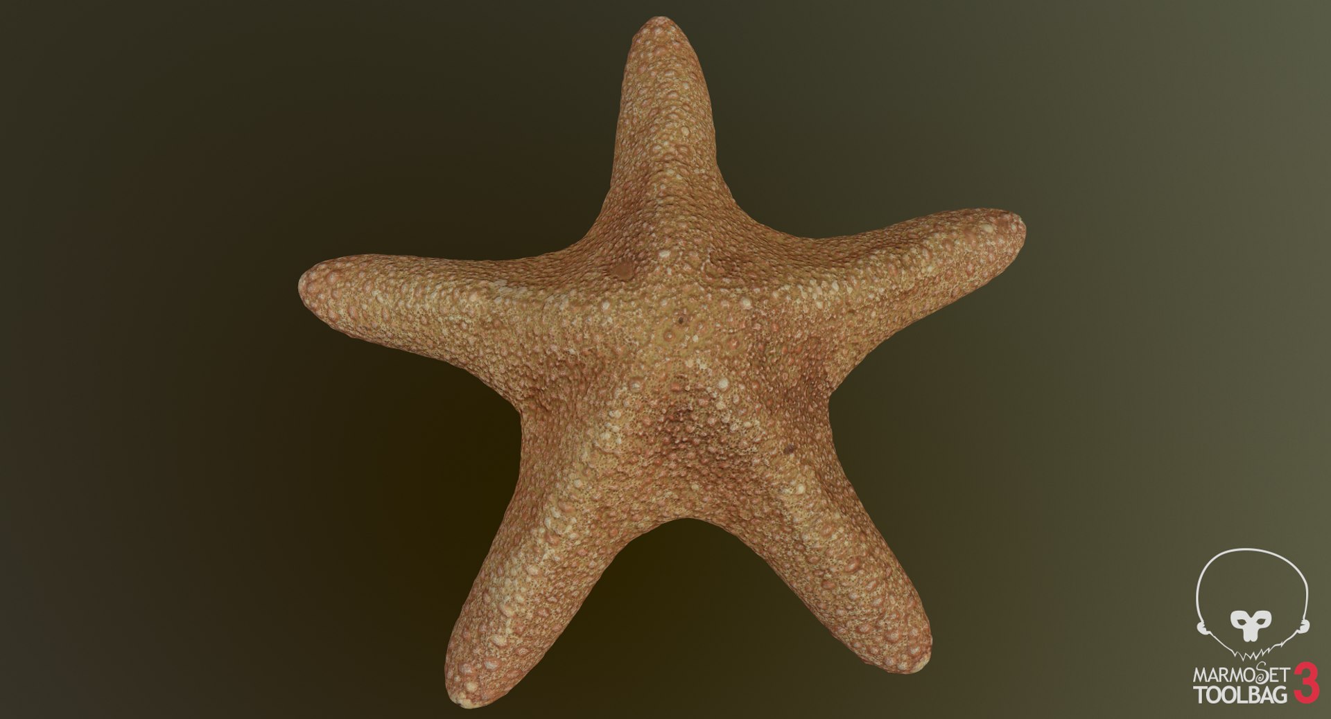 3D marine pencil urchin https://p.turbosquid.com/ts-thumb/he/IXIPnY/FcsIMY6c/screenshot501/png/1573320393/1920x1080/fit_q87/5479515ae4bddbbe25b70d23a3ff7ef5e55ab293/screenshot501.jpg