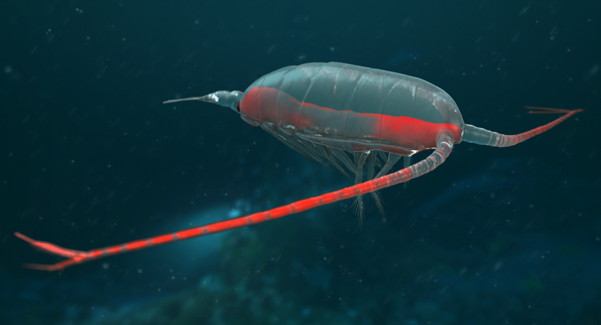 3D marine pencil urchin https://p.turbosquid.com/ts-thumb/he/IXIPnY/GWWiuaFk/copepod7cd/png/1573320310/1920x1080/fit_q87/faa92fcdfbc93801dd1276e9a0e0385f8734ce83/copepod7cd.jpg