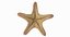 Marine Invertebrates