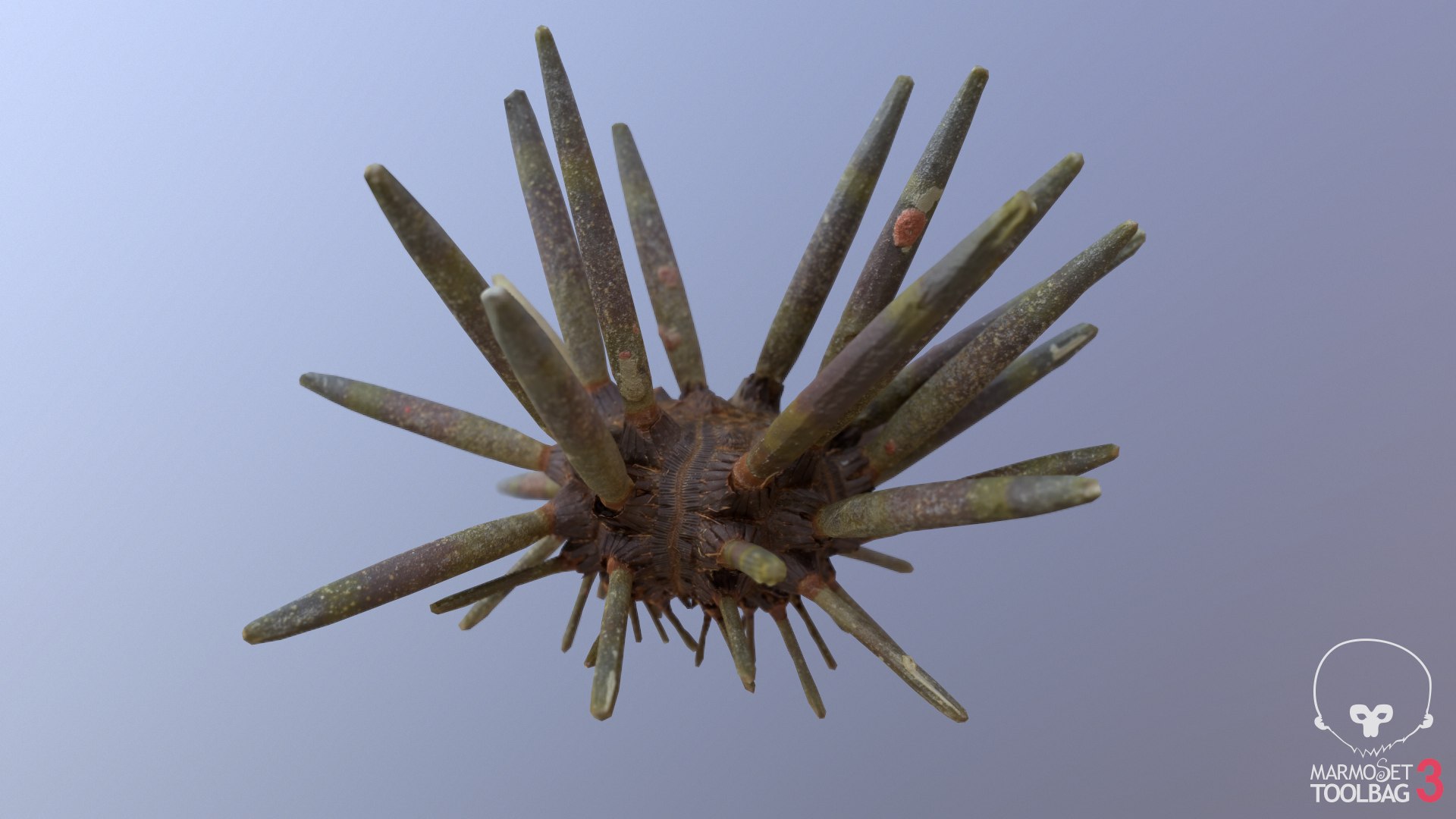 3D marine pencil urchin https://p.turbosquid.com/ts-thumb/he/IXIPnY/RTGsSaEM/screenshot733/png/1573320458/1920x1080/fit_q87/83aac11cf7a0f52913d9f57f667e3c4732a2db16/screenshot733.jpg