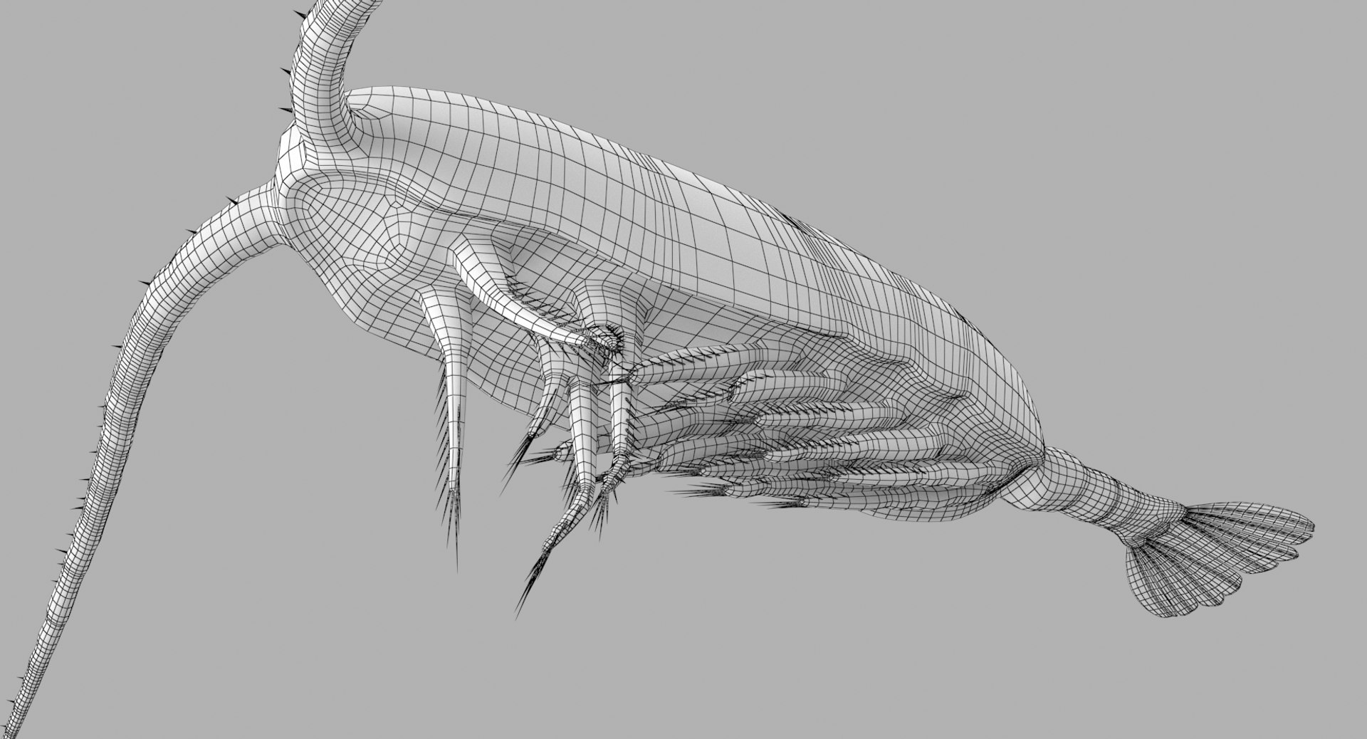 3D marine pencil urchin https://p.turbosquid.com/ts-thumb/he/IXIPnY/WMzivViq/copepod_r5w/png/1573320292/1920x1080/fit_q87/9cb24b1a39338d99b74c70a4ed47f4b9fd7bcd7f/copepod_r5w.jpg