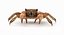 Marine Invertebrates