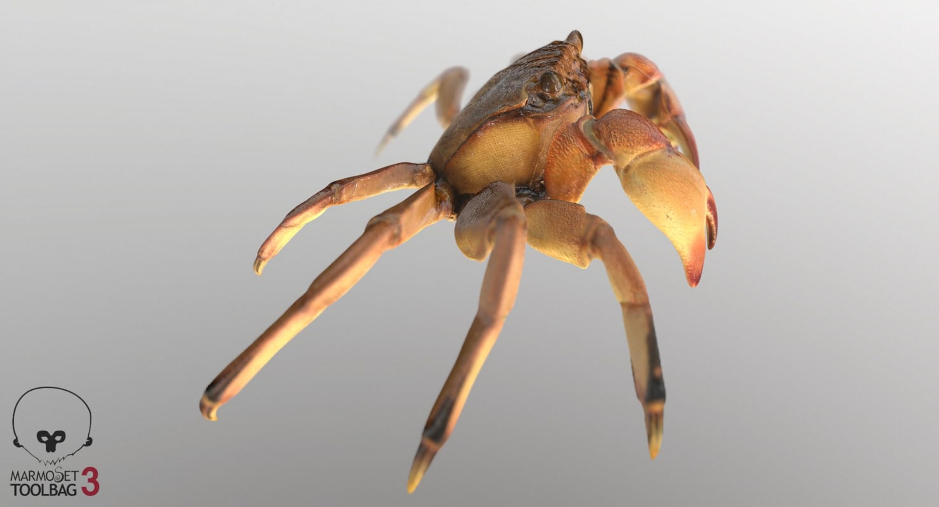 3D marine pencil urchin https://p.turbosquid.com/ts-thumb/he/IXIPnY/ctvQpmJy/crab6/jpg/1573320310/1920x1080/fit_q87/f0de964a1444d1811810b7f62b14e8e0add917f5/crab6.jpg