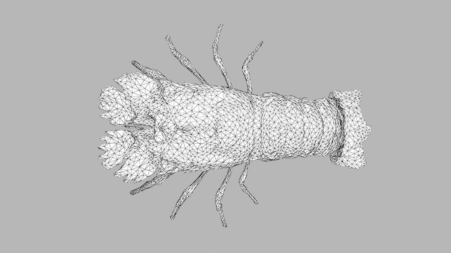 3D marine pencil urchin https://p.turbosquid.com/ts-thumb/he/IXIPnY/jW1ghLO9/slipperlobster_r1w/png/1573320517/1920x1080/fit_q87/507611a9c0dd1ab5e6800e59145fc22994d2322e/slipperlobster_r1w.jpg