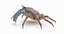 Marine Invertebrates