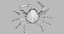 Marine Invertebrates
