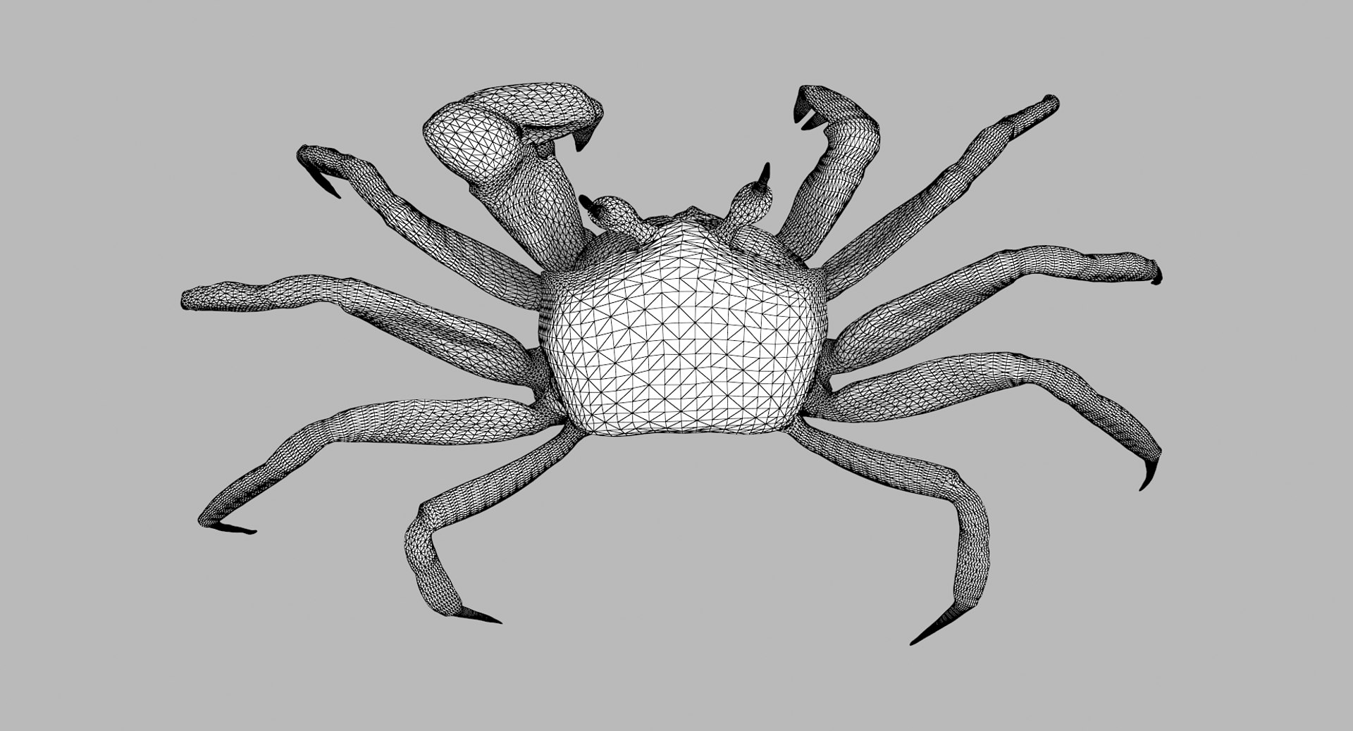 3D marine pencil urchin https://p.turbosquid.com/ts-thumb/he/IXIPnY/nVH97xiM/gcrab1_r2w/png/1573320336/1920x1080/fit_q87/b262bec562c52055f2993607a3b0a30f15088040/gcrab1_r2w.jpg