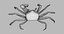 Marine Invertebrates