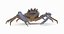 Marine Invertebrates
