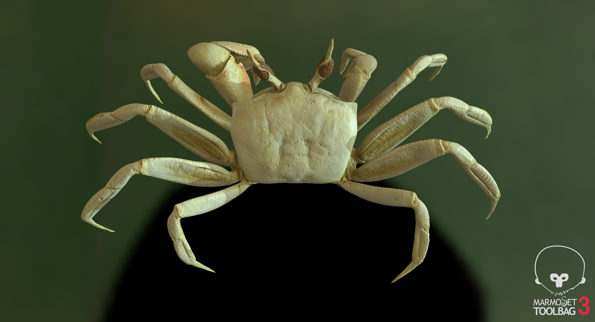 3D marine pencil urchin https://p.turbosquid.com/ts-thumb/he/IXIPnY/pPuBcVpg/screenshot488/png/1573320393/1920x1080/fit_q87/9c215e6ad2092eb3b3c67468dd9176064b8fedf8/screenshot488.jpg