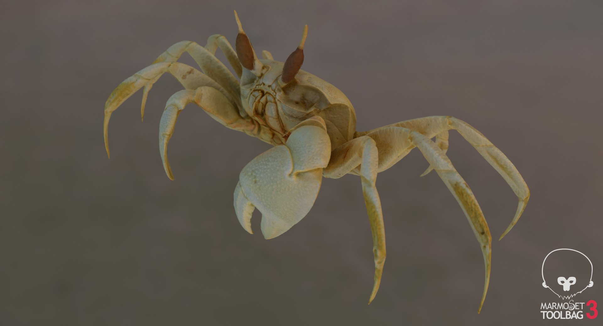 3D marine pencil urchin https://p.turbosquid.com/ts-thumb/he/IXIPnY/rmwVi5Um/screenshot483/png/1573320393/1920x1080/fit_q87/d30dac08a0b46c120aee964f859f7c6bf8ec1507/screenshot483.jpg