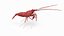 Marine Invertebrates