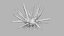 Marine Invertebrates