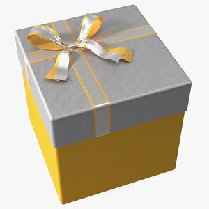 3D Wrapped Gift Box with Satin Ribbon