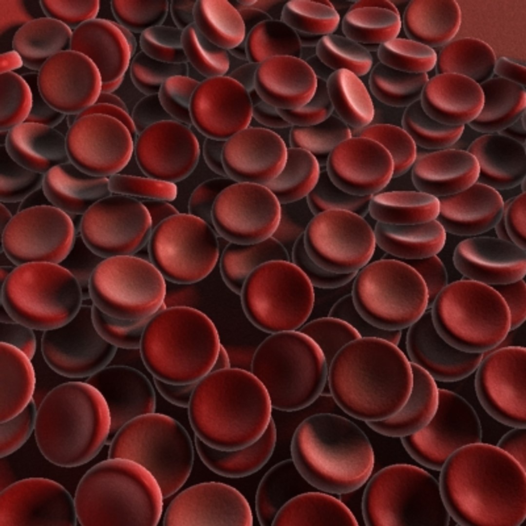 40 micro objects set max https://p.turbosquid.com/ts-thumb/he/YyrZA0/GXJRaZdr/redbloodcells2/jpg/1214248160/1920x1080/fit_q87/e0e5fd7c03af48407fa2fbc704a4d8972fdd2469/redbloodcells2.jpg