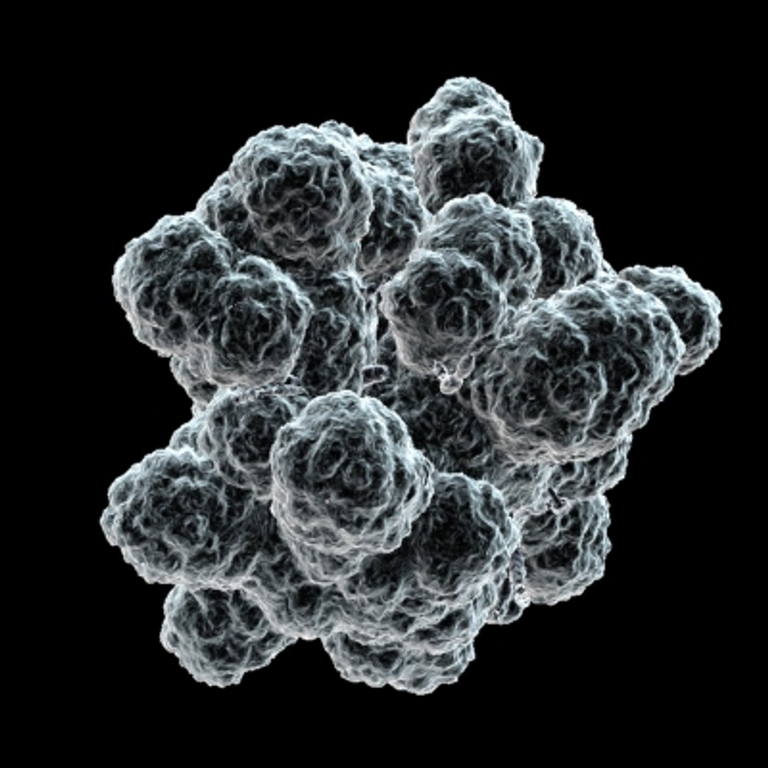 40 micro objects set max https://p.turbosquid.com/ts-thumb/he/YyrZA0/OxtzC1S9/virus35/jpg/1214248276/1920x1080/fit_q87/64004e4ca21d9acae15e9bb54b76b4447f6c60bf/virus35.jpg